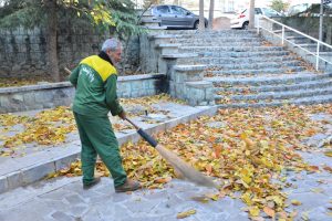بوستان های شمال تهران با برگ های پاییزی فرش شد