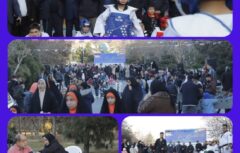 جشنواره فرهنگی و ورزشی محله علی‌آباد جنوبی برگزار شد