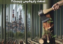 فساد ستیزی مدیران جهادی صنعت پتروشیمی برای چه کسانی گران تمام می شود؟!