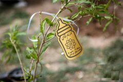 بوستان دوستدار کودک، میزبان رویش ۴۵ نهال زندگی