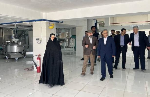 بازگشت”ایلیا ذرت سبز“ به چرخه تولید در غرب کشور بازگشت”ایلیا ذرت سبز“ به چرخه تولید در غرب کشور