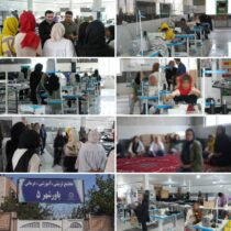 ایجاد اشتغال پایدار برای ۱۲ مددجوی بهبود یافته مرکز یاورشهر ۵