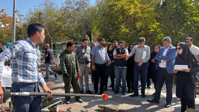 آمادگی شهرداری منطقه یک برای هرس و برفتکانی درختان در شش ماه دوم سال آمادگی شهرداری منطقه یک برای هرس و برفتکانی درختان در شش ماه دوم سال
