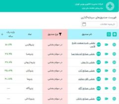 پترو فارس، پیشتاز بازدهی سالانه در بین صندوق‌های پتروشیمی