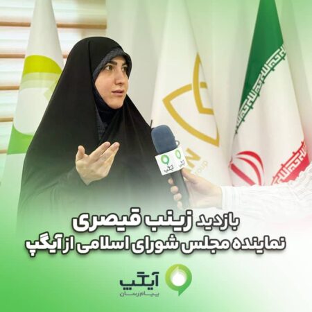 مجلس و دولت باید حامی پیامرسان های داخلی باشند مجلس و دولت باید حامی پیامرسان های داخلی باشند