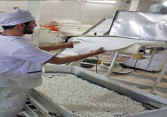 پرداخت ۱۷۶۰ میلیارد ریال تسهیلات کم بهره برای کسب و کارهای خرد خراسان‌شمالی