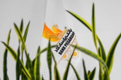 اعلام اسامی شعبه‌های کشیک بانک پاسارگاد در روز چهارشنبه یکم بهمن‌ماه