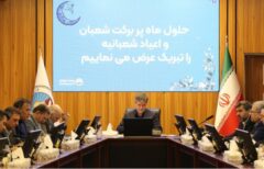 سلامت سازمان و رضایت مشتری، خط قرمز بیمه ایران