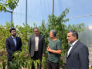 بازدید مدیرعامل از طرح‌های مورد حمایت صندوق کارآفرینی امید در استان مازندران ‌