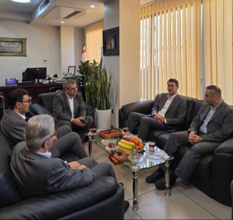 ضرورت تمرکز و هماهنگی همکاران برای تحقق اهداف بانک سینا در سال جاری