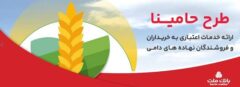 «حامینا» محصول جدید بانک ملت برای تامین مالی نهاده های دامی