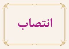 تأکید مدیرعامل بر نقش راهبردی «بازرسی» در افزایش رضایت و اعتماد ذی‌نفعان