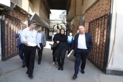 بازدید میدانی مدیرکل طرح‌های شهری شهرداری تهران از معابر بازار و بافت های تاریخی منطقه ۱۲