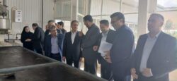 اختصاص ۲۸۰ میلیارد تومان تسهیلات بانک صنعت و معدن برای حمایت از واحدهای تولیدی شهرستان گرمی استان اردبیل